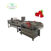 China Groenteverwerkingsfabriek Fruitbellenwasmachine met motor en pomp Multifunctioneel