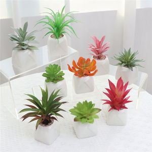 กระถางสีขาวปลูกพืชเทียมขนาดเล็กสำหรับตกแต่งโต๊ะในบ้าน - Product Image 5