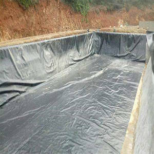 คุณภาพ<span class=keywords><strong>ส</strong></span>ูง HDPE geomembrane <span class=keywords><strong>ไฟเบอร์</strong></span> PVC เมมเบรนกันน้ำบ่อ<span class=keywords><strong>ปลา</strong></span>ตู้ปลาหลังคาอาคารหนา1.5มม. ได้รับการรับรอง ISO/CE - Product Image 5