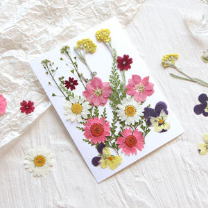 ชุดดอกไม้แห้งผสมธรรมชาติ กลีบดอก ใบไม้ และตัวอย่างพืชสำหรับงานเรซิ่น งานทำเทียน และสบู่ - Product Image 2