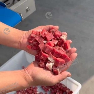High Speed Motor Semi-Automatic Fresh/Frozen Stew Meat <b>Dicing</b> Machine Beef Sirloin Cubes Cutting 304 Stainless Steel 800KG/H CE - Product Image 5