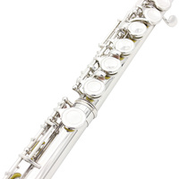 Instruments de musique professionnels vendus directement par les fabricants, flûte Slade à 16 trous en Do