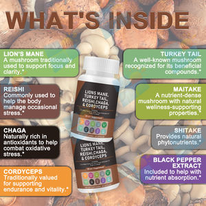 Заводская поставка 20 в 1, мощный микс, экстракт грибов, капсула, смесь льва, грива, кордицепс, Рейши, Чага, индейка - Product Image 5