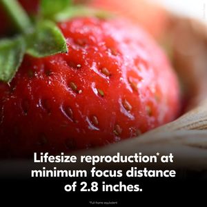 เลนส์ NIKKOR <span class=keywords><strong>Z</strong></span> <span class=keywords><strong>35</strong></span> มม. F/1.7 มาโคร - รูรับแสงกว้าง F1.7 เกลียวฟิลเตอร์ 52 มม. รองรับ APS-C/DX สำหรับกล้องมิเรอร์เลสซีรีส์ <span class=keywords><strong>Z</strong></span> ผลิตในประเทศจีน - Product Image 4