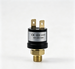 Contrôleur de pression mécanique à un point de pression en acier inoxydable pour milieux corrosifs - Product Image 3