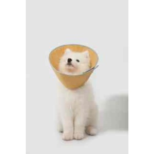 Waterproof Pet Recovery Cone With Snap <b>Button</b> Cat Elizabeth Collar And Lightweight Plastic <b>Dog</b> Collar For Anti Bite - Product Image 4