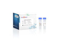Réactif de recherche de haute qualité Génétique T4 DNA Ligase Enzyme NGS Library