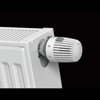 Radiateur en acier à haute efficacité, type 22, double convecteur, radiateurs de chauffage central pour le chauffage domestique