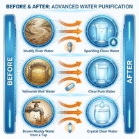 Vente flash - Machine de traitement de l'eau industrielle de 250 litres par heure - Système de purification de l'eau par osmose inverse - Système d'eau RO