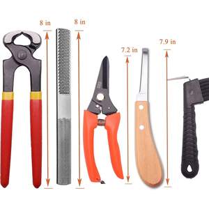 Kits de herramientas profesionales de herrador de 8 pulgadas, de 7 piezas Mini escofina, tijeras de Metal, cortador de pezuñas equinas para Cabra, cerdo equino - Product Image 5