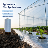 Granulés de polyéthylène linéaire à faible densité, qualité film étirable, pour emballages alimentaires et conteneurs, pour commandes en gros