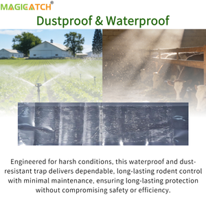 Pièges à colle transparents professionnels pour rats, en vrac, avec 2 options de taille, pour les entreprises de lutte antiparasitaire et l'entretien des bâtiments commerciaux - Product Image 5