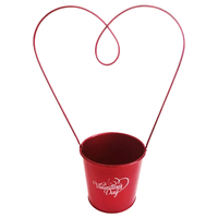 Pot de fleurs en métal cadeau Saint Valentin rouge Japon mignon mini serre message pot de plante