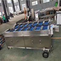 Báscula Combinada Electrónica Multiplataforma Automática para 12 Paletas de Frutas, Mariscos y Carne, con Pantalla Táctil, Precisión de 1g, Jindun OEM