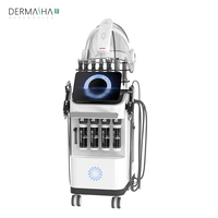 Appareil professionnel multifonctionnel 10-en-1 Hydra Water Hydro Dermabrasion Aqua Oxygen Jet pour le visage, idéal pour les salons de beauté et les soins de la peau (version US)