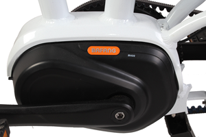 20 인치 프레임 마운트 배터리 및 DAPU 250w 중반 모터 벨트 드라이브 전기 자전거 소형 접이식 ebike 전기 자전거 - Product Image 3