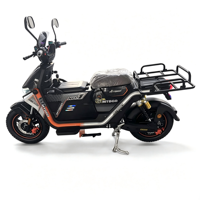 Scooter électrique OEM/ODM 60V 1000W, moto électrique avec amortisseur hydraulique, contrôleur 12 tubes, écran LCD, vélo électrique
