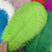 Vente en gros de plumes d'autruche colorées de 40 à 80 cm / 16 à 31 pouces pour centres de table de mariage et carnaval