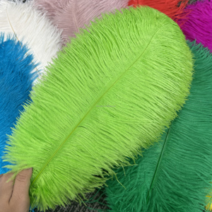 Plumas de Avestruz Naturales Teñidas al por Mayor de 40-45 cm, Multicolores, para Centros de Mesa de Boda, Disfraces de Carnaval y Decoración - Product Image 4