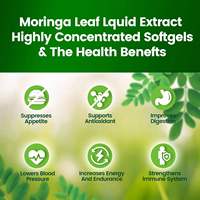 MOQ 500 Botol Kapsul Softgel Moringa Label Pribadi Khusus Dewasa Suplemen Herbal Makanan Kesehatan Kelas Premium untuk Kesehatan Sendi dan Imunitas