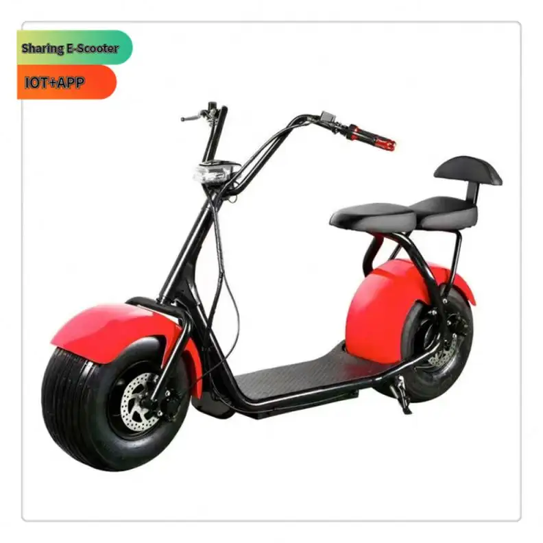 Новый двухколесные электрические скутеры с 2-колесный скутер для взрослых Электрический мотоцикл E-скутер способный преодолевать Броды города литиевая батарея электрический велосипед с толстыми покрышками Citycoco для мужчин