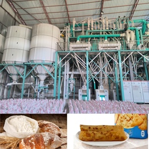 Moulins à farine professionnels avancés 100TPD pour le traitement industriel du blé – Projet complet de moulinage - Product Image 1