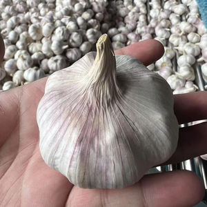 Aglio Fresco di Nuova Raccolta Cinese, Colore Rosso, Verdure Biologiche, Fornitore di <span class=keywords><strong>Polvere</strong></span> d'Aglio, Container da 40 Piedi, Esportazione di Aglio negli Emirati Arabi Uniti - Product Image 2