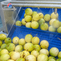 Fabriek Prijs Automatische Fruit Groente Sorteren Apple Aardappel Tomaat Oranje Avocado Ui Grading Wassen Size Wegen Machine