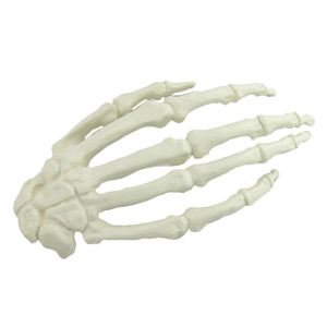 KyrenMed, modelo anatómico medio de <span class=keywords><strong>mano</strong></span> humana izquierda <span class=keywords><strong>derecha</strong></span> de espuma sólida, modelo de entrenamiento ortopédico para Taller de perforación preoperatoria - Product Image 1
