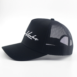 Tùy chỉnh <span class=keywords><strong>3D</strong></span> thêu logo lưới stylepolyester/cotton thời trang thể thao ngoài trời Xe Tải Điều khiển cap - Product Image 2