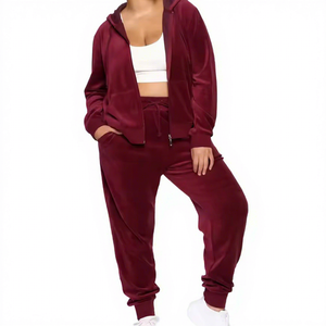 Sport Gym Women's Solid Short Velvet Two Piece Winter Tracksuit Set Custom Patches Vintage Style Hooded Windproof Fleece Jogging - Product Image 4
