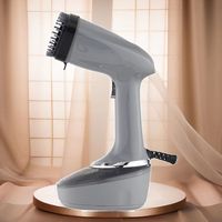 Fer à vapeur portable pour vêtements avec brosse