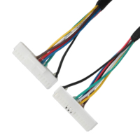 كابل LVDS موصل HSG PHSD 30P A2545-2*10P LHE 5264-5U بعزل PET، تصنيع حسب الطلب (OEM/ODM) لتطبيقات الكمبيوتر، مجدول ومطلي بالفضة