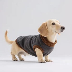 Nouvelle Arrivée Personnalisée : Pull Élégant pour Teckel, Chaud, Tricoté, à Manches Longues, en Polyester Uni, Manteau d'Hiver, Faible MOQ - Product Image 3