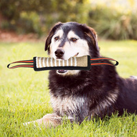 Bâton d'entraînement pour chien à bandes réfléchissantes, bâton de mastication en chanvre à bords bruts, jouet à mâcher pour le ramassage et la dentition LY307 Nanyang