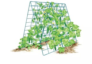Kletter pflanzen im Freien, A-<span class=keywords><strong>Frame</strong></span> Gurken gitter wachsen Unterstützung für Bohnen Tomaten gemüse Blumen - Product Image 5