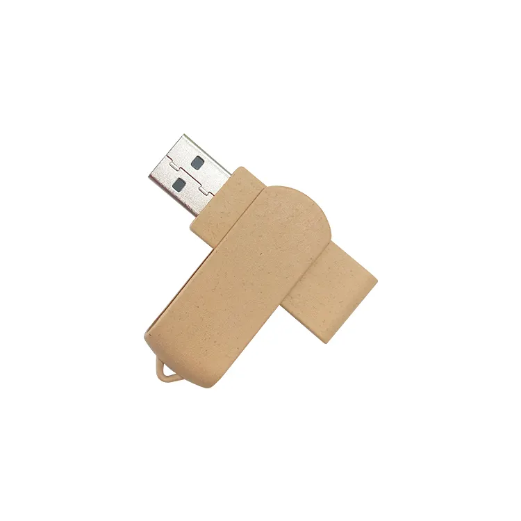2023 môi trường sinh thái thân thiện sản phẩm tùy chỉnh ổ đĩa flash USB tiện ích điện tử giá rẻ quà tặng sáng tạo USB Key Pendrive