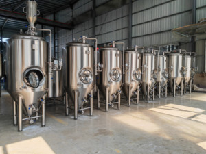 Tanque de Fermentación Cónico para Cerveza Tonsen 600L 6HL 6BBL con Enfriamiento por Chaqueta - Product Image 2