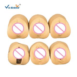 Maniquí <span class=keywords><strong>de</strong></span> Enfermería <span class=keywords><strong>de</strong></span> ciencia médica, modelo <span class=keywords><strong>de</strong></span> entrega <span class=keywords><strong>de</strong></span> parto, modelo <span class=keywords><strong>de</strong></span> enseñanza <span class=keywords><strong>de</strong></span> entrega, modelo <span class=keywords><strong>de</strong></span> educación <span class=keywords><strong>de</strong></span> entrega - Product Image 1