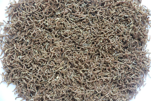 Прямые продажи от производителей новых высококачественных лиофилизированных кровяных червей корм 100% натурального белка для здоровья рыбьей кожи - Product Image 3