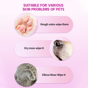 Baume pour les griffes des animaux de compagnie en gros, crème de protection des pattes des chiens, baume pour les soins des pattes des animaux de compagnie, protège, guérit et répare les pattes endommagées pour les chiens et les chats - Product Image 3