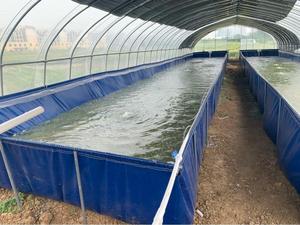 Equipo de Acuicultura de PVC Reforzado Ajustable, <span class=keywords><strong>Lona</strong></span> Translúcida Plegable, Soporte Desmontable para Estanques de Peces y Camarones, Peces Ornamentales, RAS - Product Image 2
