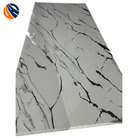 Panneau PVC effet miroir UV marbré, étanche, moderne, 1200x2400mm, pour hall d'ascenseur de bâtiment commercial et salon d'hôtel