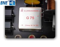 Filtre de fréquence 2 voies pour haut-parleur, idéal pour scène professionnelle et KTV, puissance 1300 Watts, réseau de crossover audio pour aigus et graves