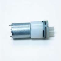 DRS370SH-22125A1 Motor Pompa Air Mikro DC Sikat Kecil Ringan IP55 Tahan Ledakan Perangkat Cuci Hidung Pemasangan Panel Elektrik