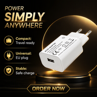 Chargeur mural USB Shenzhen Lvxiangyuan 10W 5V 2A, adaptateur secteur AC/DC de voyage, chargeur rapide avec prise EU, certifié CE ROHS pour LED