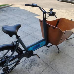 <span class=keywords><strong>Bici</strong></span> da carico elettrica per adulti fornita in Europa: 7 marce, motore mozzo posteriore, batteria al litio 36V, telaio in acciaio, economico - Product Image 3