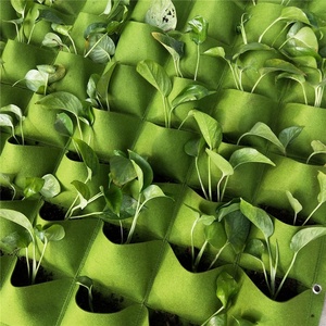 Jardinières murales de qualité supérieure, marque privée OEM - Product Image 5