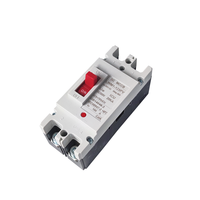 Disjoncteur à boîtier moulé 63A-125A LWM1-125/LWM1-150, interrupteur de batterie solaire 2P DC MCCB 20kA 50/60Hz pour équipement électronique