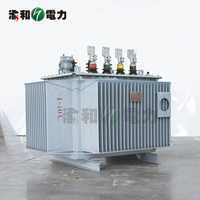 Transformateur de distribution triphasé à double enroulement série S13-M 20 kV, changeur de dérivation hors circuit, immergé dans l'huile, scellé